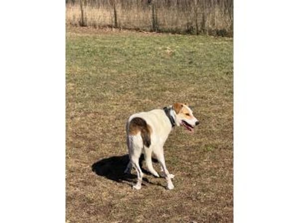 Debbie wartet in 01239 Dresden