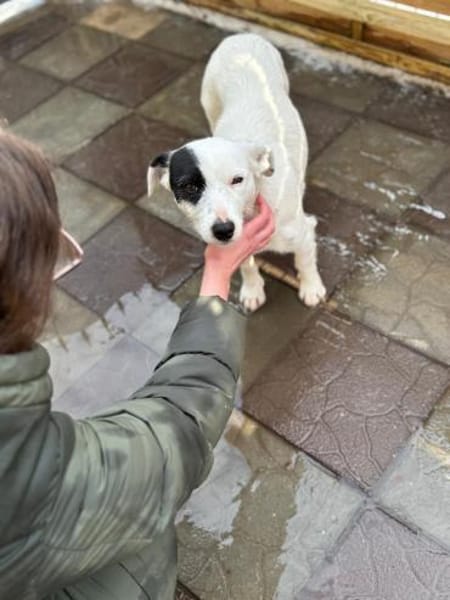 Spoty sucht IHre Familie