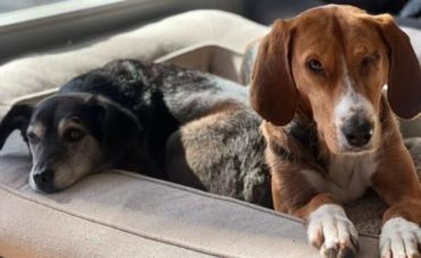 Gabi sucht ihr großes Glück