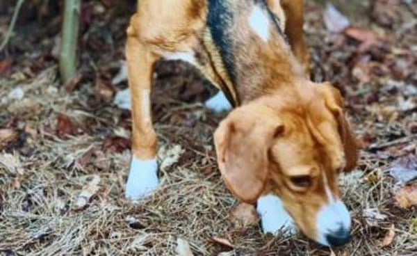 Gabi sucht ihr großes Glück