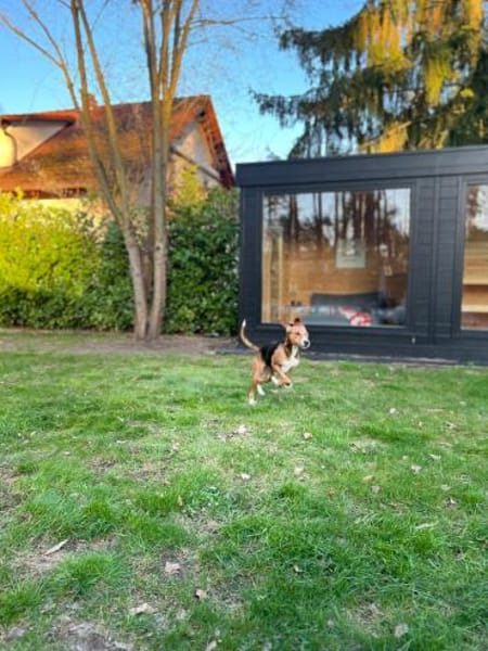 Gabi sucht ihr großes Glück