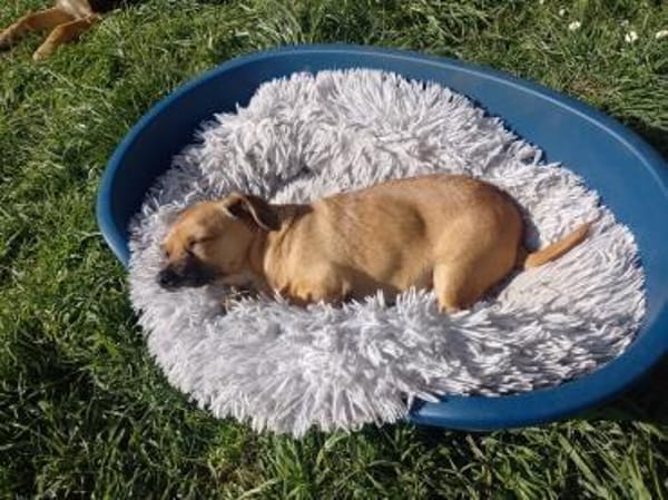 Süßer Handicap Schatz sucht seine Famili