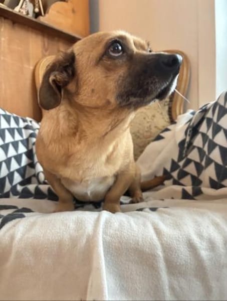 Süßer Handicap Schatz sucht seine Famili