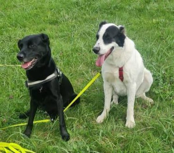 CASSANDRA wartet schon lange