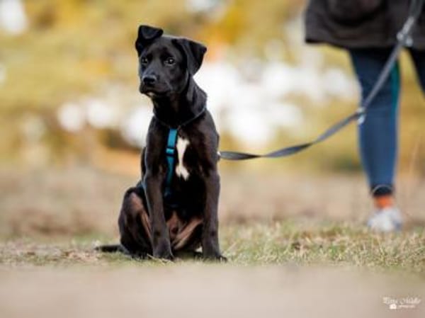 Nike möchte geliebt werden