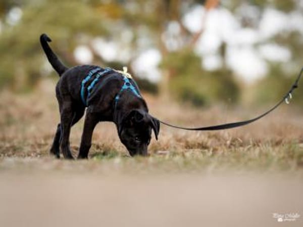 Nike möchte geliebt werden