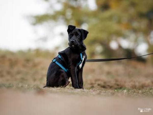 Nike möchte geliebt werden