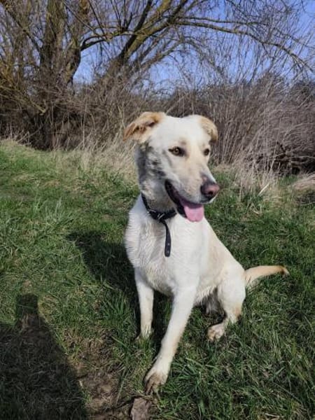 Sala nun Nala sucht neues Zuhause