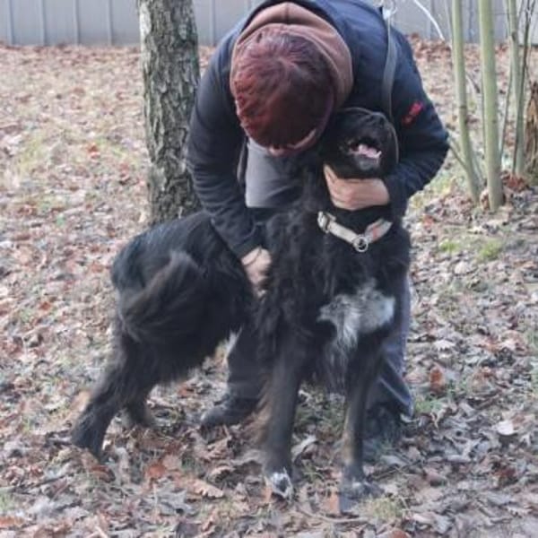 Kira will beschäftigt werden