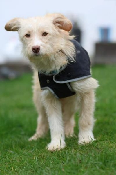 Darf ich vorstellen Prinzessin Emina