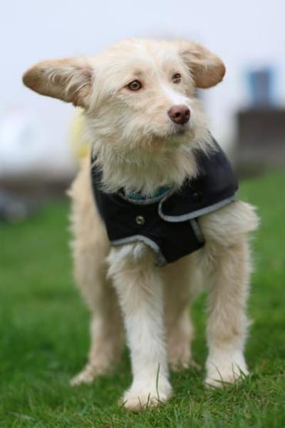 Darf ich vorstellen Prinzessin Emina