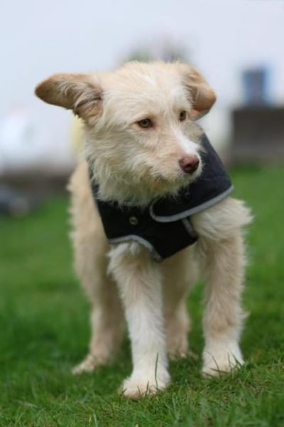 Darf ich vorstellen Prinzessin Emina