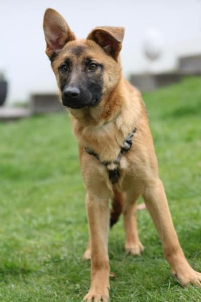 Endrina unsere Schönheit...