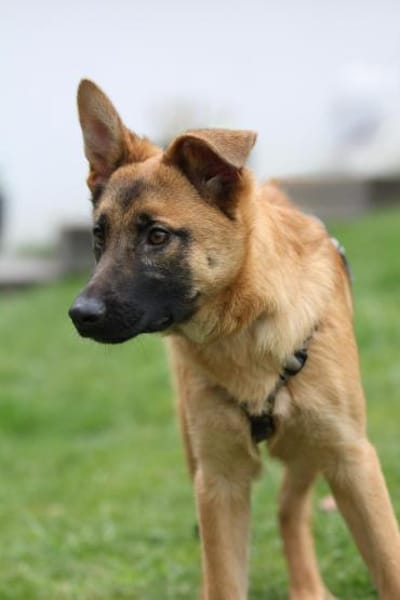 Endrina unsere Schönheit...