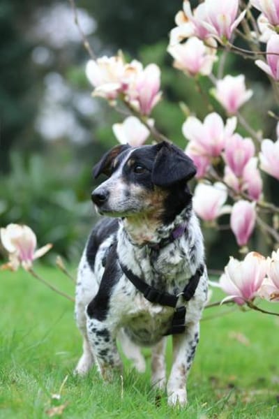 Wer schenk Nenda ein zu Hause...