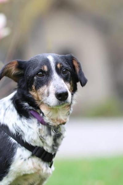 Wer schenk Nenda ein zu Hause...