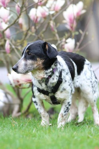 Wer schenk Nenda ein zu Hause...