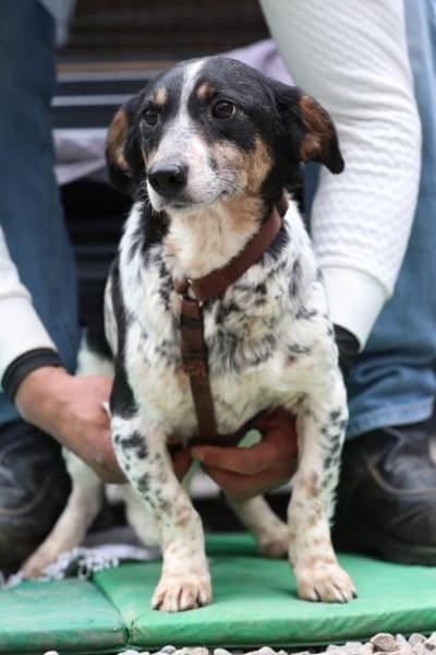 Wer schenk Nenda ein zu Hause...