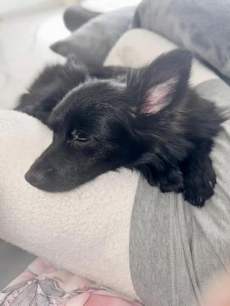 Rohdiamant Thor ist eine Überraschung