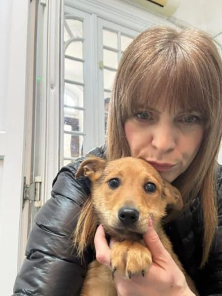 Kleine Brownie sucht liebevolles Zuhause