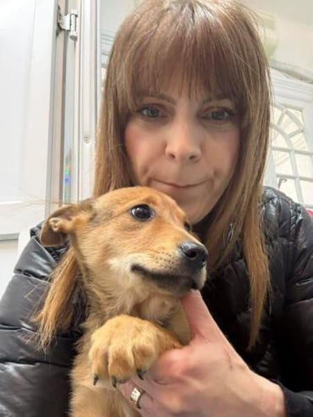 Kleine Brownie sucht liebevolles Zuhause