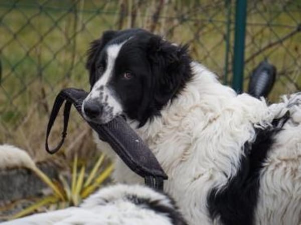 Lino möchte willkommen sein