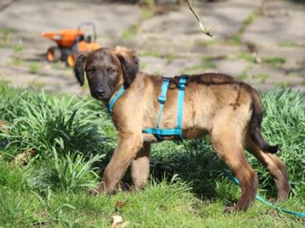 Smile möchte sein Leben genießen