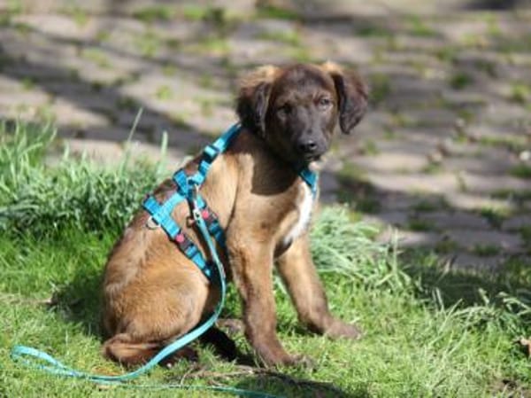 Smile möchte sein Leben genießen