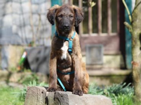 Smile möchte sein Leben genießen