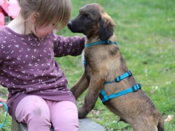 Smile möchte sein Leben genießen