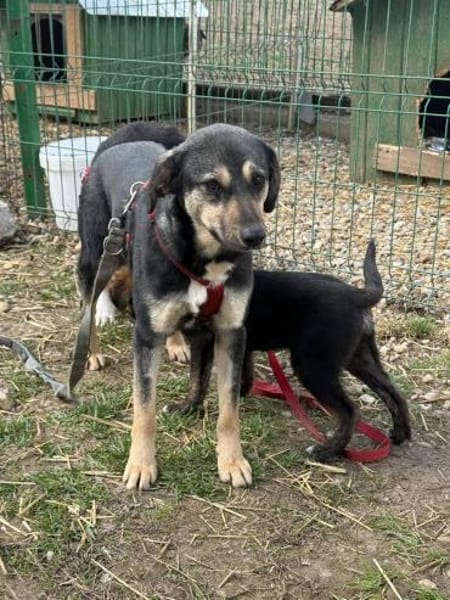 Leika wartet auf ihre große Chance!