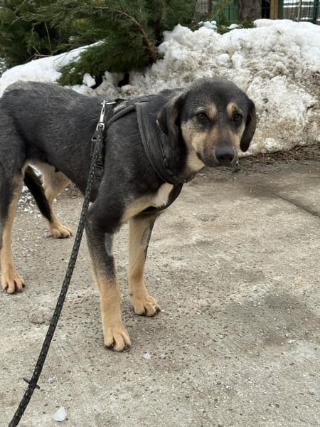 Leika wartet auf ihre große Chance!