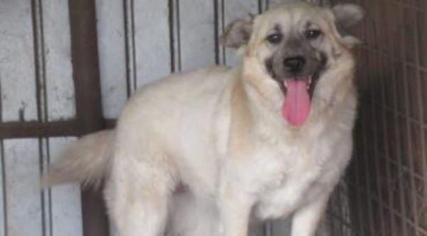 Marou ist unsere liebe Knutschkugel 🐾