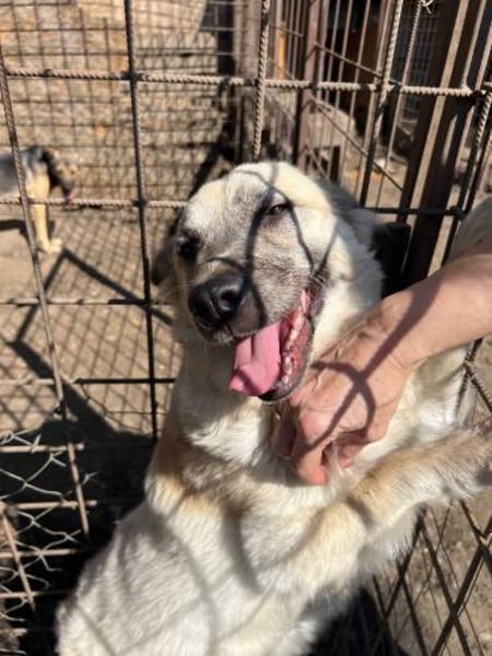 Marou ist unsere liebe Knutschkugel 🐾