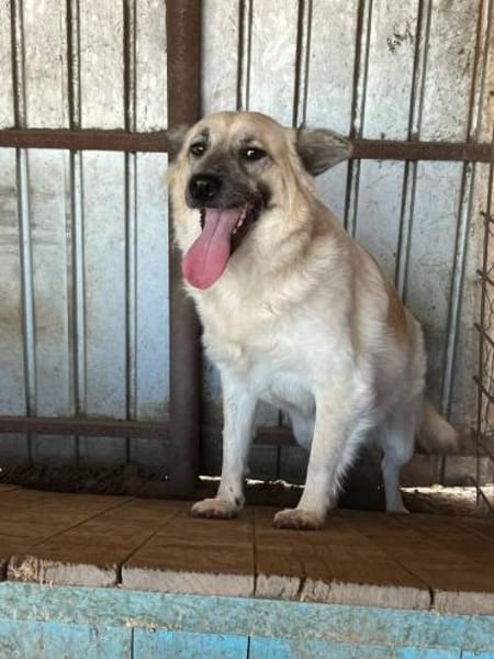 Marou ist unsere liebe Knutschkugel 🐾