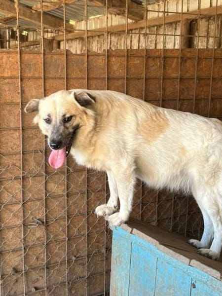 Marou ist unsere liebe Knutschkugel 🐾