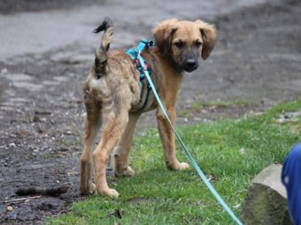 Kay sucht Familienanschluss