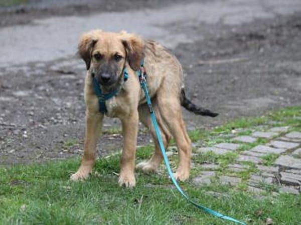 Kay sucht Familienanschluss