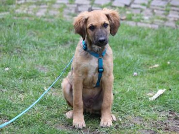 Kay sucht Familienanschluss