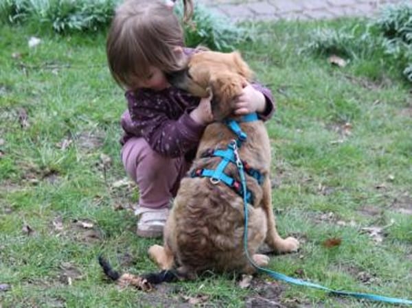 Kay sucht Familienanschluss