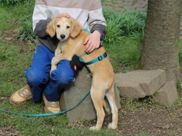 Miele sucht seine Familie