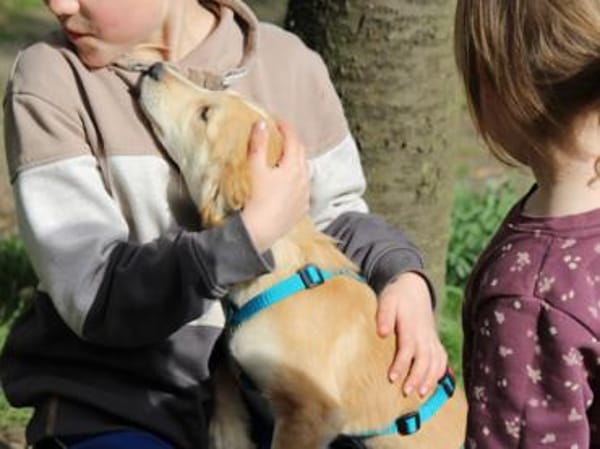 Miele sucht seine Familie