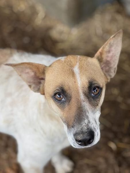 Malibu ist ein zartes Seelchen 🐾