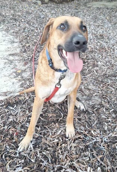 GUELIA la joie de vivre