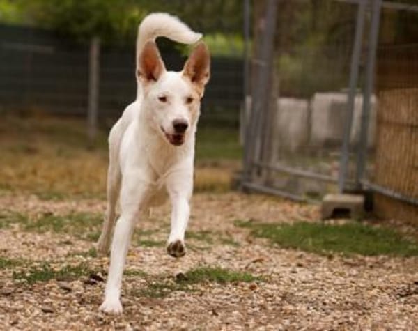 Schlägt Dein Herz für Froggy?