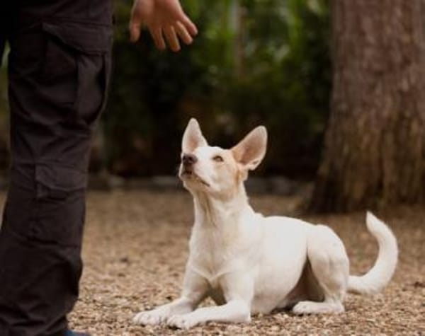 Schlägt Dein Herz für Froggy?