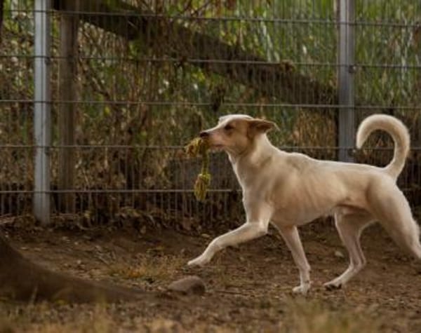 Schlägt Dein Herz für Froggy?