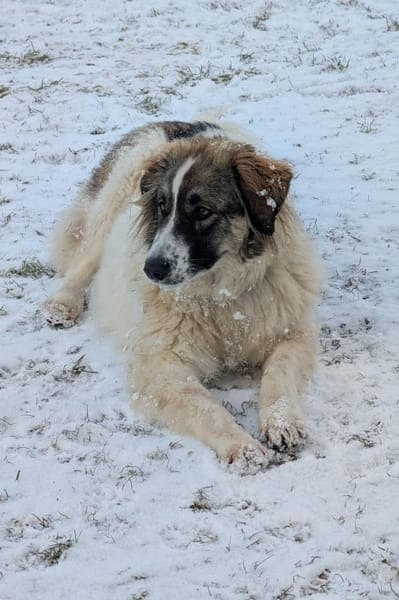 Ozora sucht schon so lange