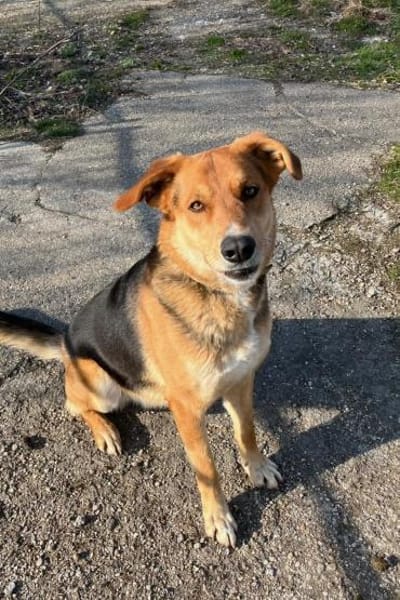 Lemmy sucht Menschen die ihn verstehen