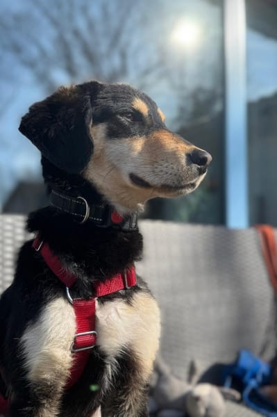 Franzl-möchte mit dir Abenteuer erleben